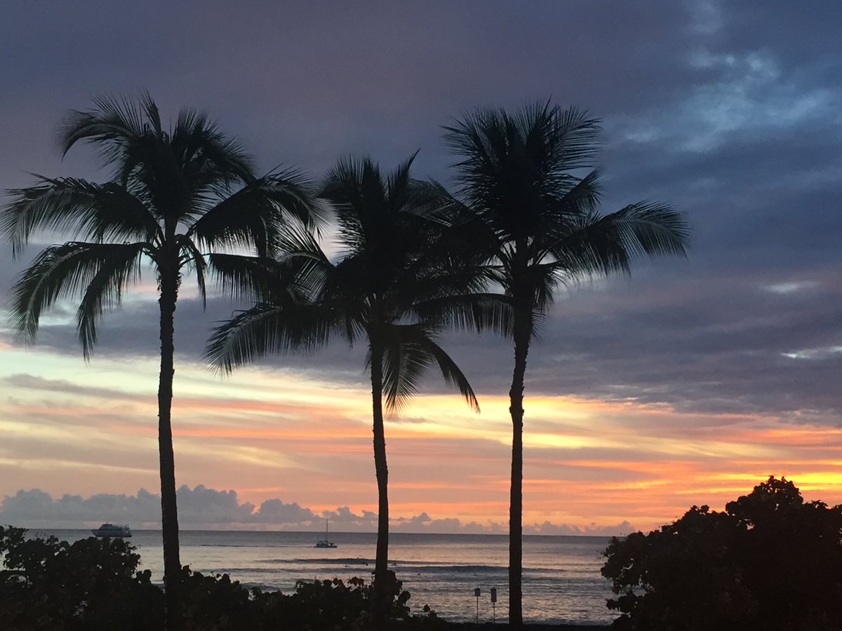 markamerika's tweet photo. Transitioning into the Aloha Winter Studio where all my AI assistants and I are busy working on a cluster of new artworks for upcoming solo exhibitions in Europe as well as a "concept album" focused on the digitally-infused derangement of the senses.

Hauʻoli Makahiki Hou. https://t.co/d91DUotoEN