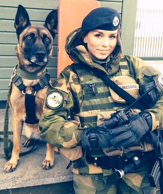 #Norway  🇳🇴
#k9 #workingdog #specialforces  #workingdogs #militarydogs #militarydog #k9totalaction #militaryworkingdog #militaryworkingdogs #Military