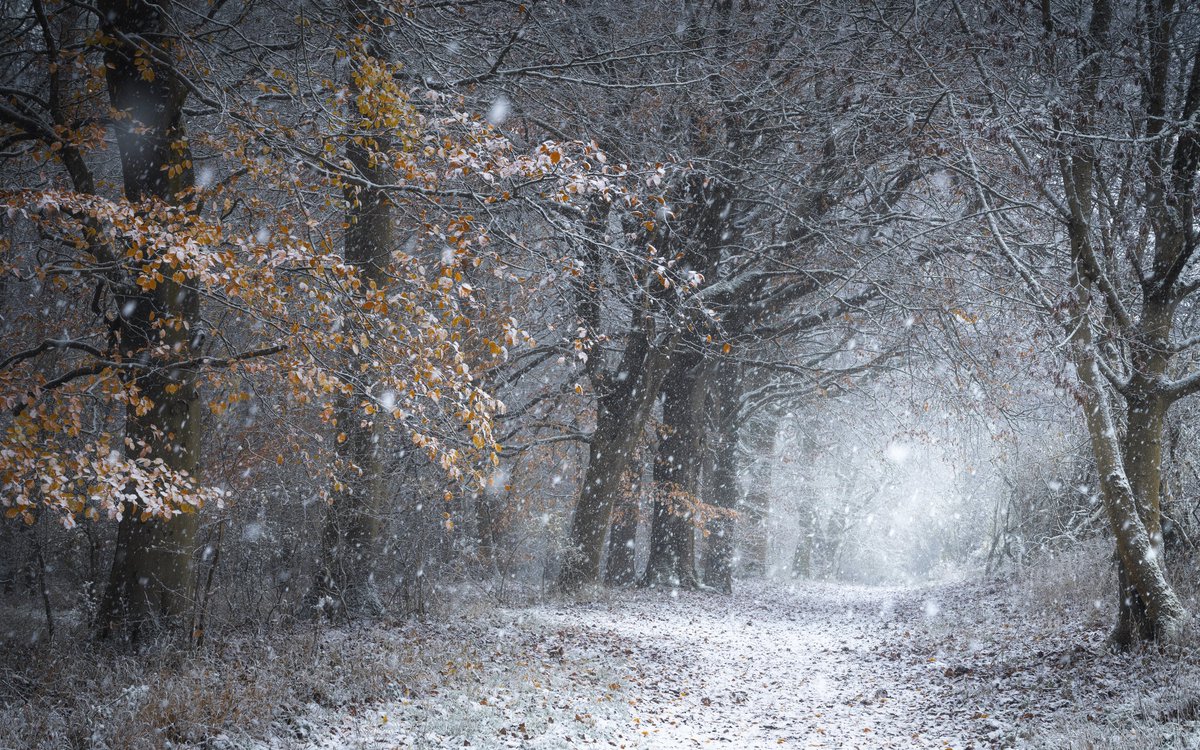 Will Blakey Milner tweet media