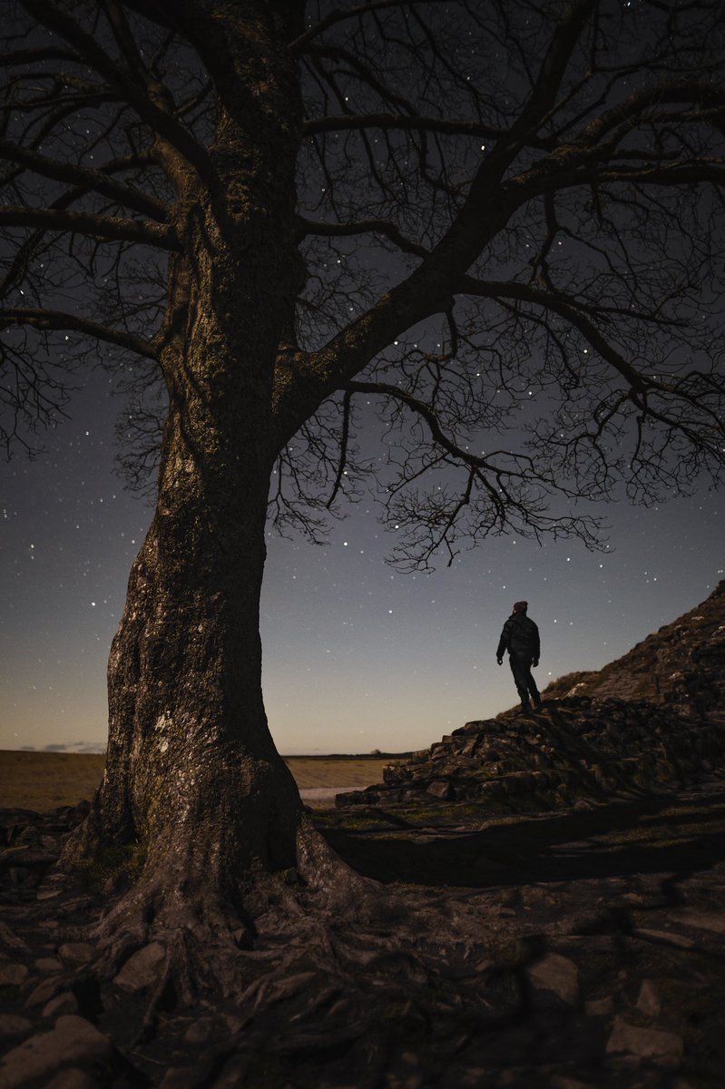 A moonlit sky at Hadrian's Wall last night 😍
