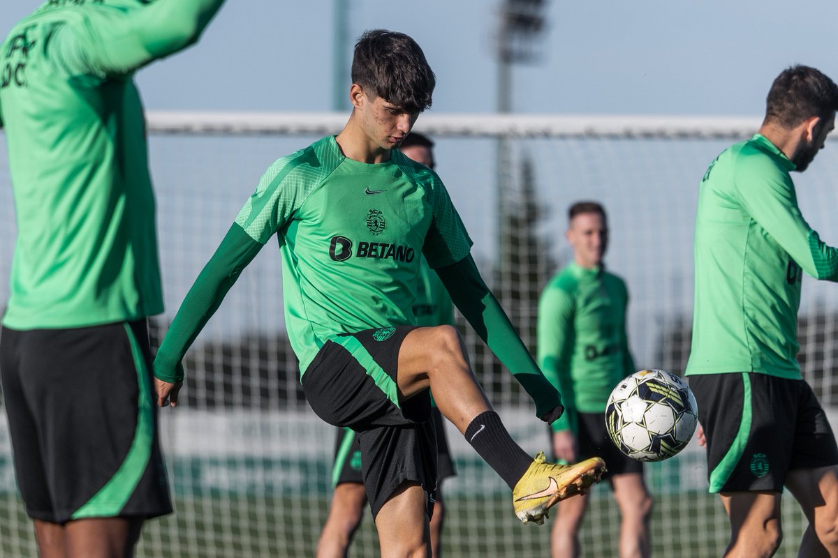 Sporting Twitter Sporting CP English on Twitter: