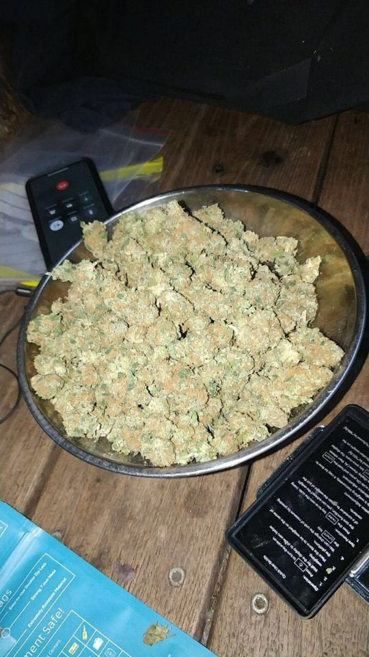 weedrive75's tweet photo. Weed disponible en livraison 100€ minimum dans tout Paris et sa banlieue 🏘💨
LEMON HAZE 10G 100€ 25G 250€🍋🇳🇱
Numéro whatsapp +33 7 53 58 13 54
#weedparis #weedidf #uberweed #paris10 #WeedLife https://t.co/2shzKMvZ67