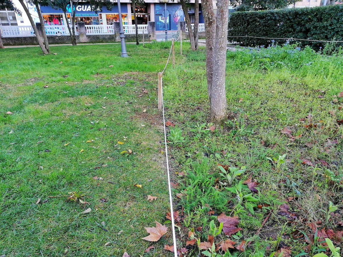 SI FUERA UN INSECTO URBANO ME IRÍA A VIVIR A HUESCA
Los parques y jardines de Huesca son un ejemplo de gestión inteligente q respeta y fomenta la biodiversidad urbana. Dejan sin segar ciertas zonas, lo q ayuda a muchos insectos. Los carteles lo explican y recuerdan.