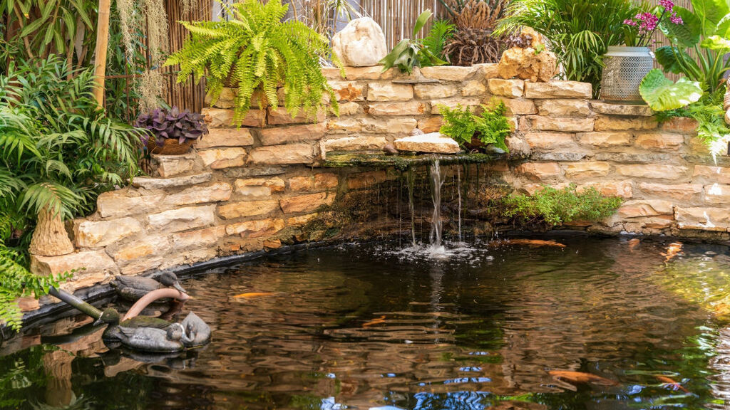 EsparzaRealtor's tweet image. Imagine having a water feature like this at your home.

  #koi #koipond #workvlog  #pond  #fishpond #patio #landscape #daily #outdoorpatio #outdoorliving #outdoordining #patio #outdoorfurniture #patiodesign #outdoordesign instagr.am/p/Cm9rHvtLQVl/