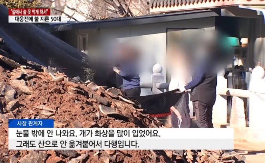 인간도 아닌 새끼때문애 강아지가 다쳤다는거애 이차로 빡침