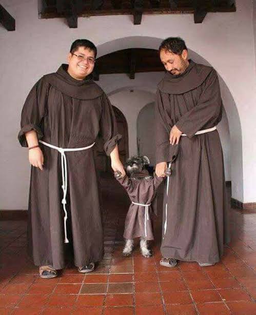 Out of context Catholicism (@nocontextcathol) on Twitter photo 