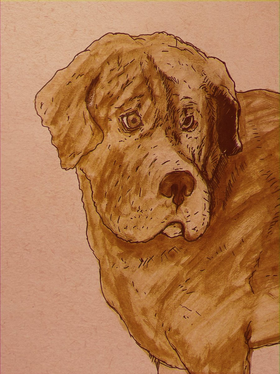 Btw I started posting daily creations again on Instagram. 💅🙃

instagram.com/fluffmachine