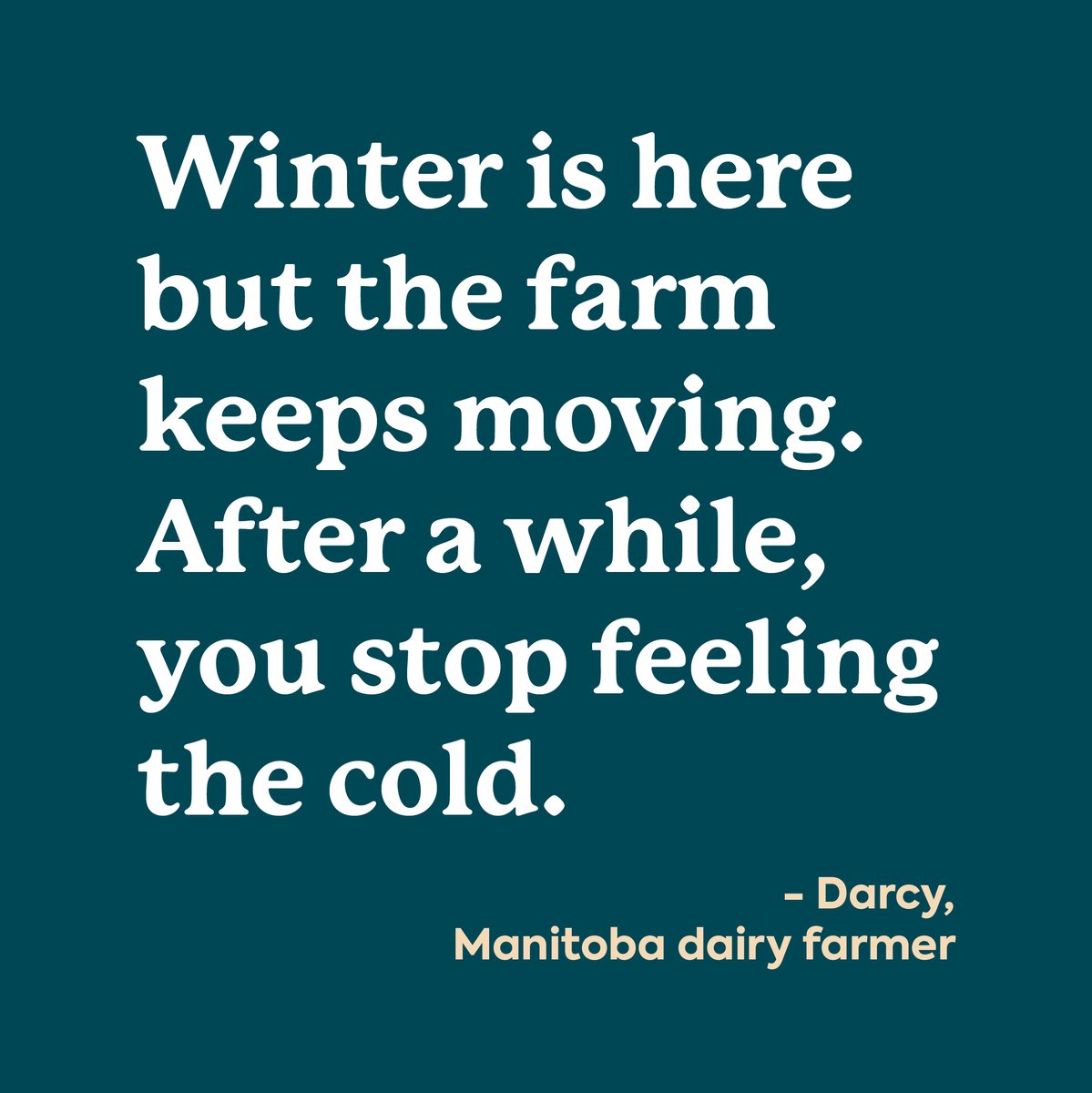 There’s a lot that goes into running a
dairy farm. Each season comes with its own
challenges, but it’s the passion and dedication that
drives farmers like Darcy to face every challenge
head-on.
#AllFromAGoodPlace
#AllAboutFarmers #DairyFarmingInCanada
#DairyFarmingInManitoba