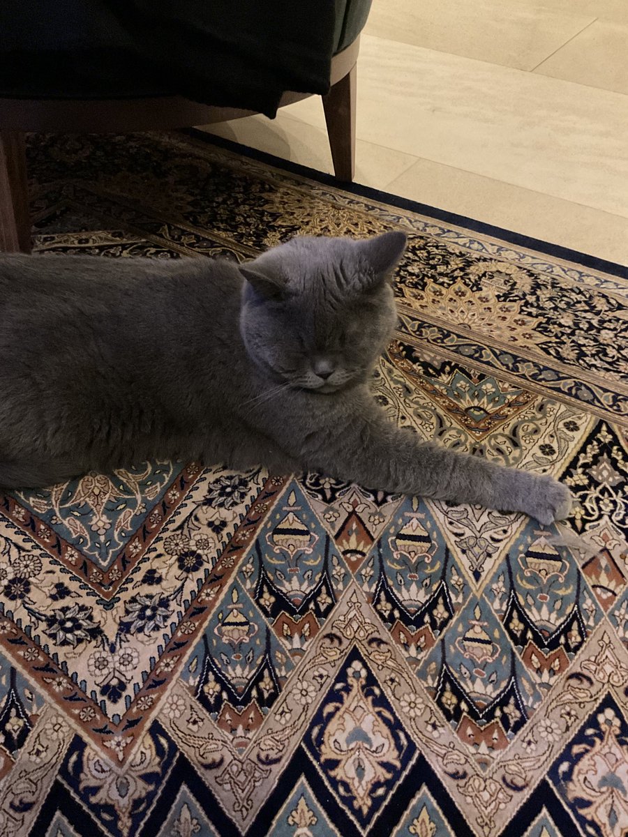alicearnold1's tweet image. Eric is doing the one armed version..with a similar degree of effort. #catpilates