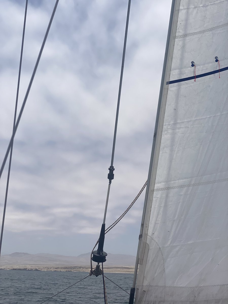 marcelorv24's tweet photo. Catamaran ⛵🌊 https://t.co/caEneYYxzC