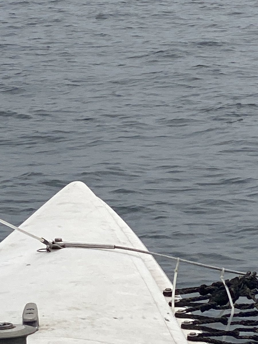 marcelorv24's tweet photo. Catamaran ⛵🌊 https://t.co/caEneYYxzC