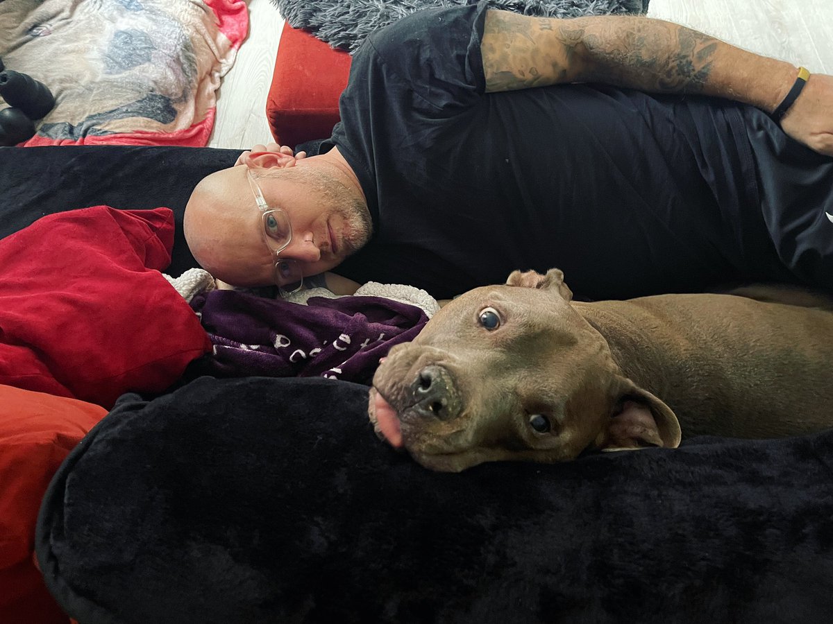 KarenShevaEva's tweet photo. Mornings with my boys.โค๏ธ #goodmorning #mybabyandmyboo #pitbulls #prettypitty #apollotheplayfulpit #bestdogever https://t.co/AqdxCQcDe2