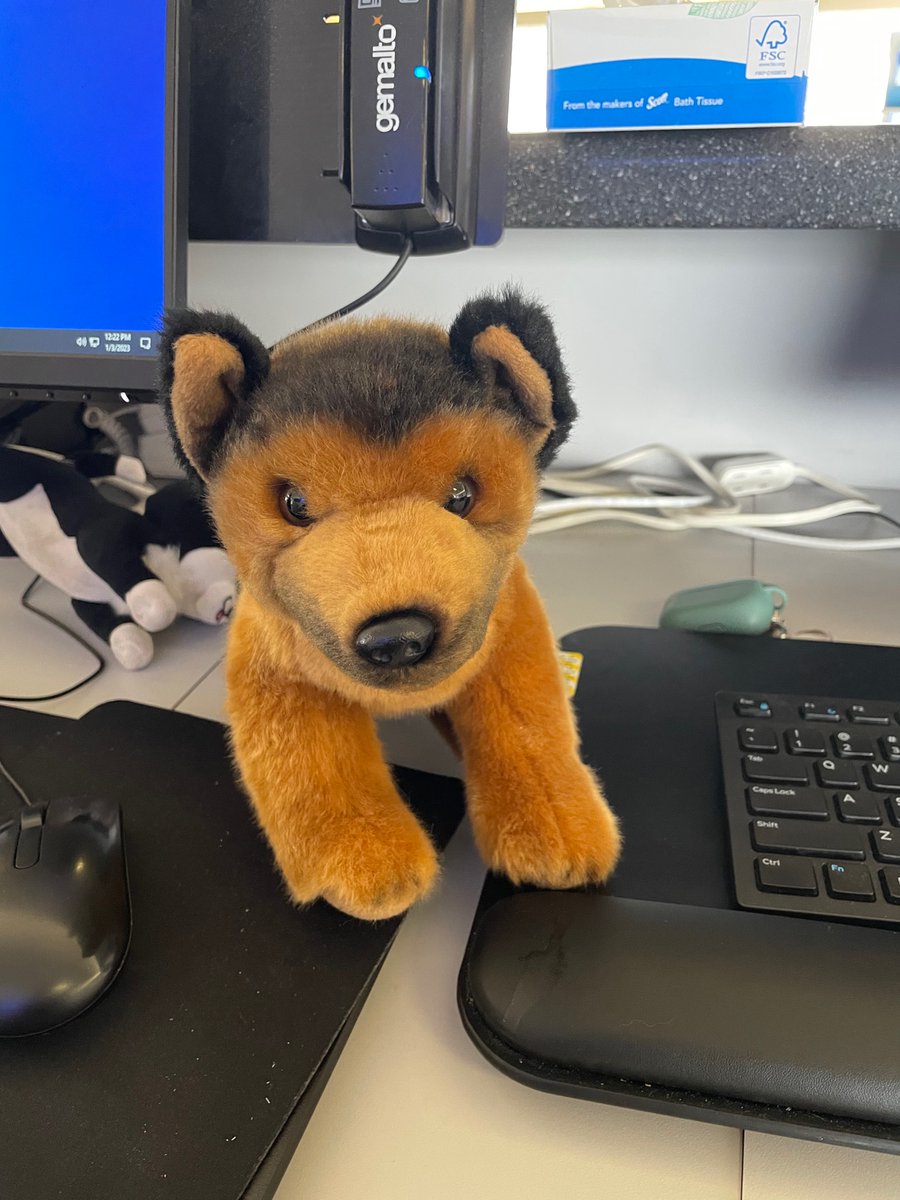 cote_kcote94's tweet photo. Kind of a long shot to find the passenger who left this on @SouthwestAir flight 3421 at gate 12 from @PHXSkyHarbor to @COSAirport but would love to get this reunited with the passenger who left this onboard. https://t.co/qJBQtw2c4Y