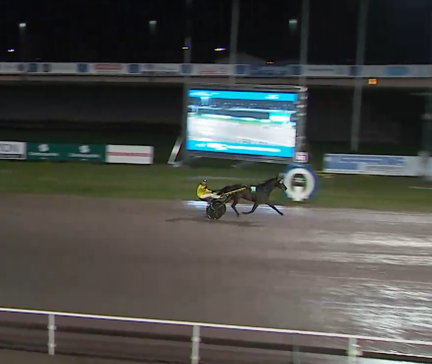 🥇Remus Eck 🥇
Ägare: Gerhard Sporrer
Skötare: Line Bach Skallberg 

Det blev direkt seger i första starten som A-tränare! Remus gjorde en toppinsats och vann enkelt, han siktas nästa mot Åby den 12.01. Tack alla för gratulationer!