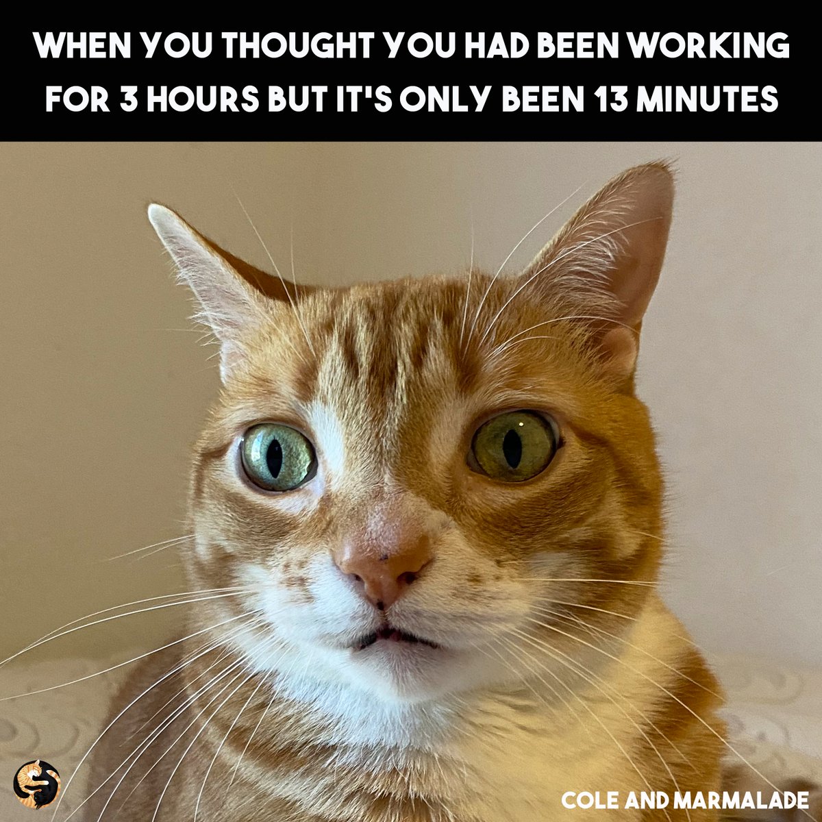 We feel ya Marm! 😿

#BackToWork #BackToReality #Work #Cats