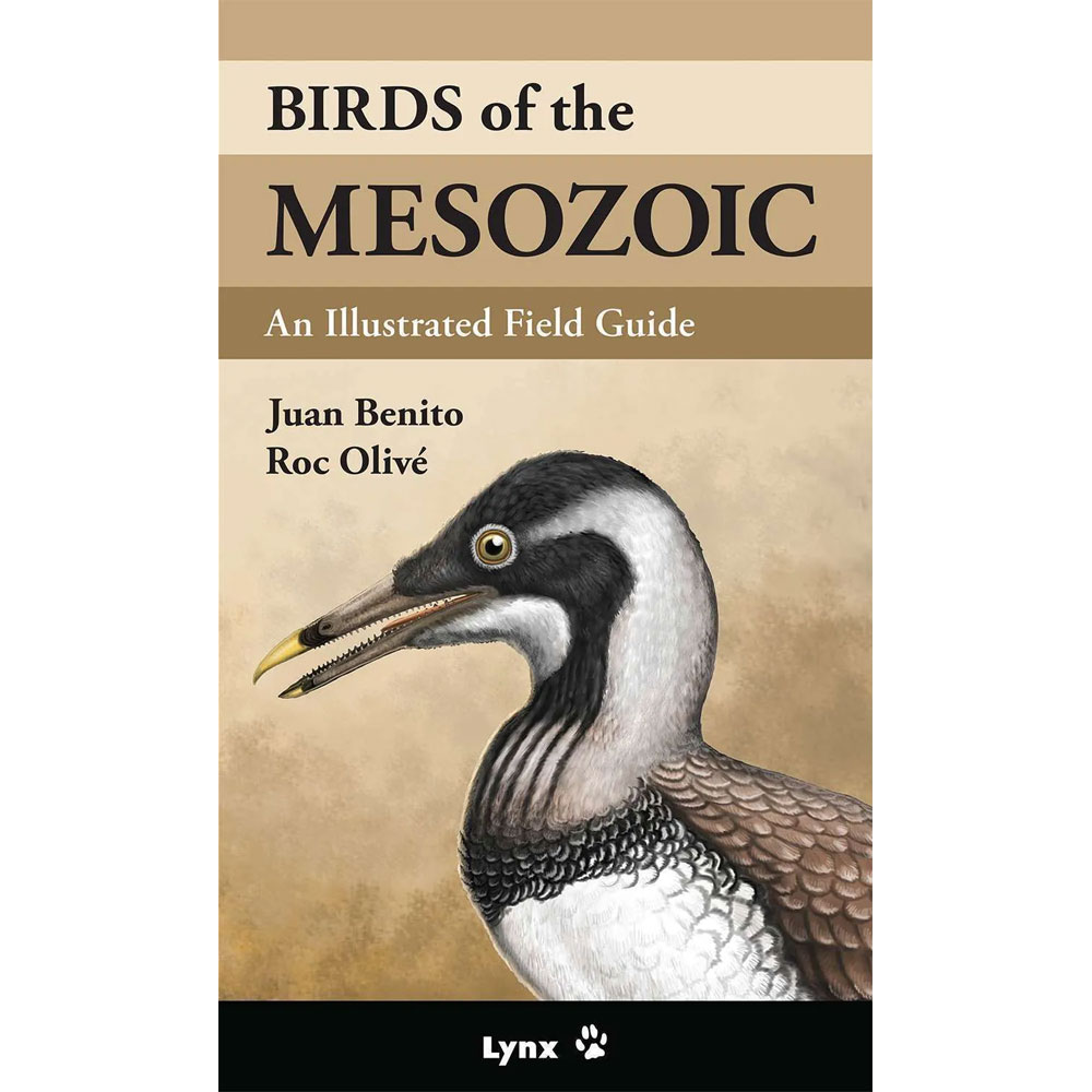ButeoBooks's tweet photo. #BirdsareDinosaurs &amp; #DinosaursareBirds, but the important question is-if you took a time machine back 100 million years, could you identify them? An Illustrated Field Guide to Birds of the Mesozoic:@ https://t.co/TdT3hdjLm4 
#birds @BirdIzLife #paleornithology #mesozoicbirds https://t.co/unBOi2KUdw
