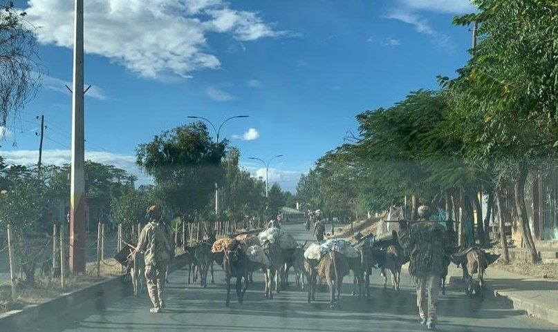 Great_tgray's tweet photo. Eritrean Troops Kill, Rape, Loot In Tigray

BREAKING: Eritrean troops, after systematically dismantling universities, factories and stealing everything of value in #Tigray, they are now combing ordinary houses, in towns and villages, taking cattle, sheep, camels and donkeys. @UN https://t.co/NCBKunvFpV