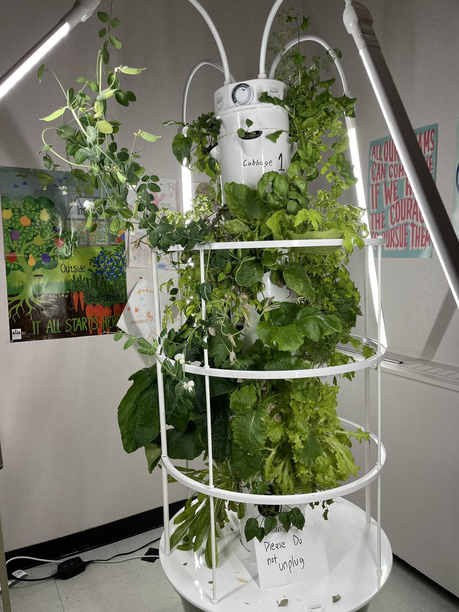 Neill McCallum tweet media