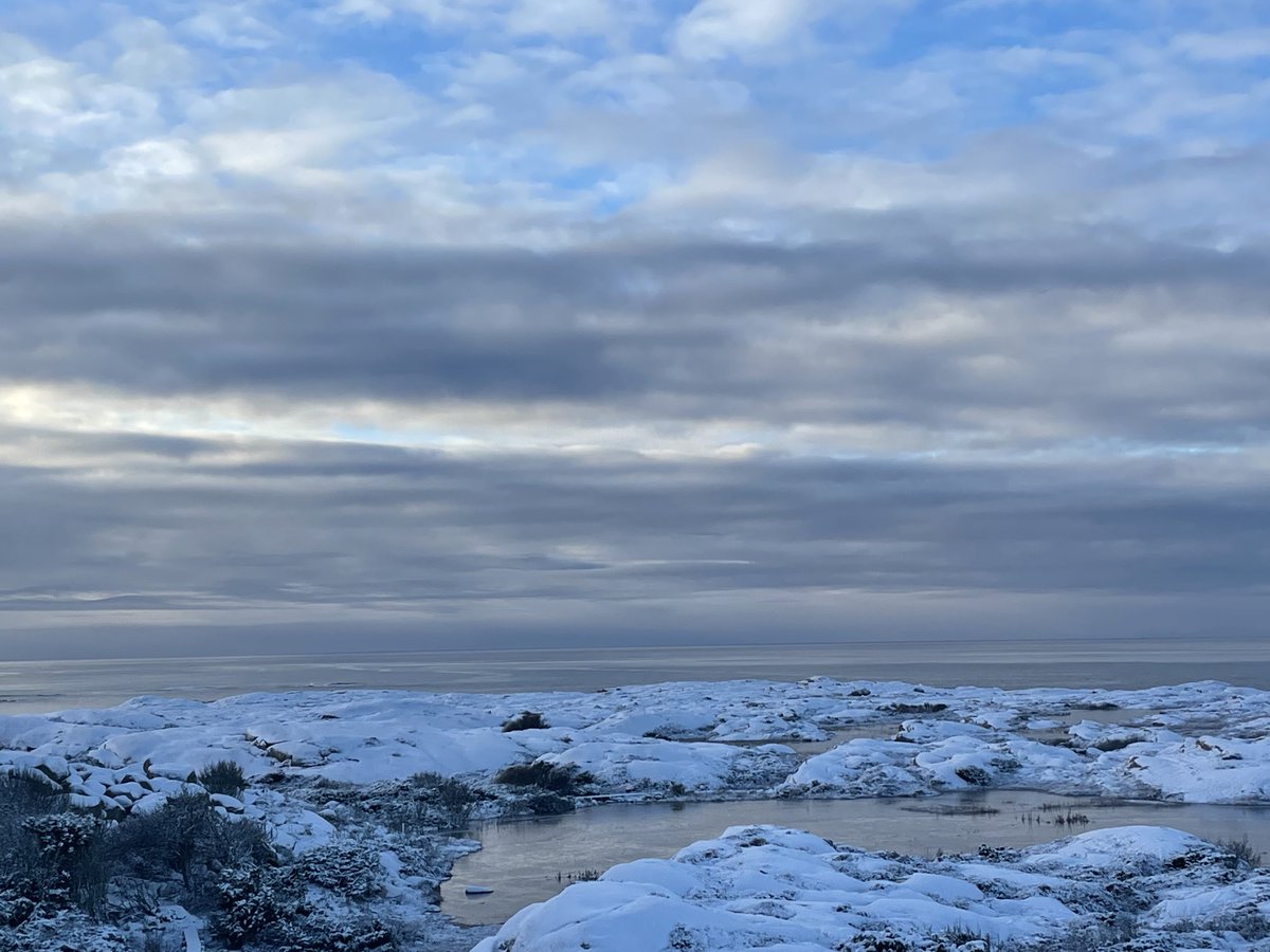 JornHolmHansen's tweet photo. Bohuslän, Sweden today https://t.co/mZrdcDHVuj
