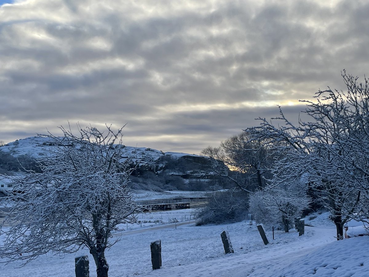 JornHolmHansen's tweet photo. Bohuslän, Sweden today https://t.co/mZrdcDHVuj