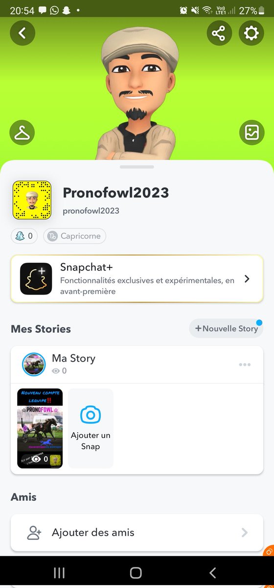 PronoFowl tweet media