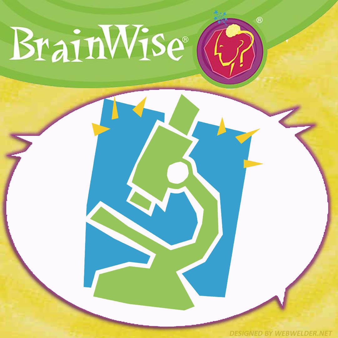 BrainWisePLC's tweet photo. Research shows that the human brain is hard-wired at birth to react emotionally and immediately to the world around us. 
Learn More: https://t.co/zIU1ZmsG5t
#socialemotionallearning #criticalthinking #education #educators #childdevelopment #children #results https://t.co/X9H26RETEV