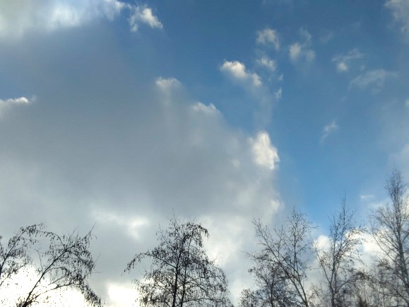 EFxRsnO0LarVbDe's tweet image. おはようございます
1月4日
☁️⛄️最高気温－4℃
今の気温－6.7℃

通常の毎日が始まり
朝ドラも始まりますね📺️

お正月中に増えたBMI
少しずつ下げなくては
と
砂糖、糖類ゼロのチョコを買ったけど、、？

昨日の散歩中の #空

#resolutions2023