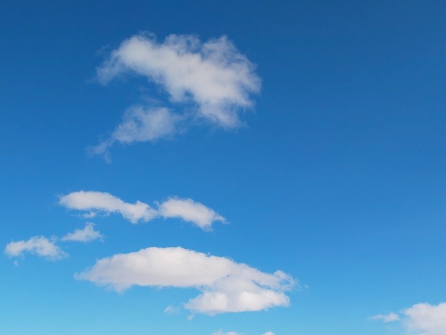 EFxRsnO0LarVbDe's tweet image. おはようございます
1月4日
☁️⛄️最高気温－4℃
今の気温－6.7℃

通常の毎日が始まり
朝ドラも始まりますね📺️

お正月中に増えたBMI
少しずつ下げなくては
と
砂糖、糖類ゼロのチョコを買ったけど、、？

昨日の散歩中の #空

#resolutions2023