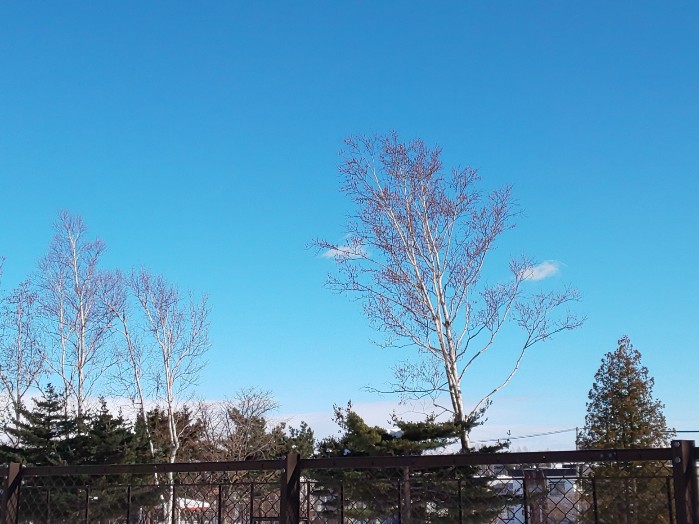 EFxRsnO0LarVbDe's tweet image. おはようございます
1月4日
☁️⛄️最高気温－4℃
今の気温－6.7℃

通常の毎日が始まり
朝ドラも始まりますね📺️

お正月中に増えたBMI
少しずつ下げなくては
と
砂糖、糖類ゼロのチョコを買ったけど、、？

昨日の散歩中の #空

#resolutions2023