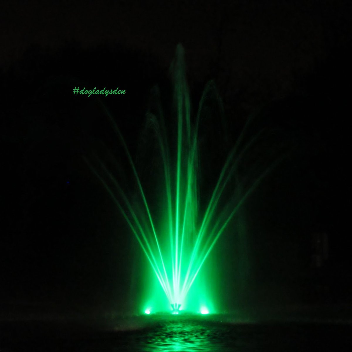 DebbieDoglady's tweet photo. Today's #jj_community #Huesday theme is #BrightGreen at #jj_forum_3903 📷📷📷📷📷 #dogladysden #photographer My dual submission is an original plus a fun edit of green fountain lights in Niagara Falls. 🟩🟢🟩🟢🟩 #jj_colorlove #jj_lightcatchers… https://t.co/mKs0ovBcMb https://t.co/ZghgpOhIZe