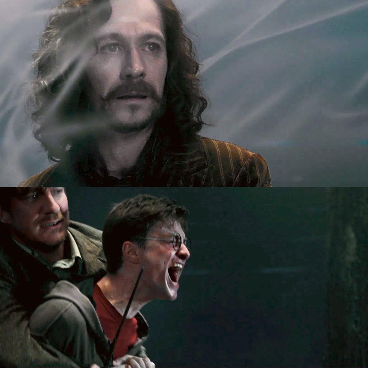 La muerte más dolorosa de Harry Potter sin duda.