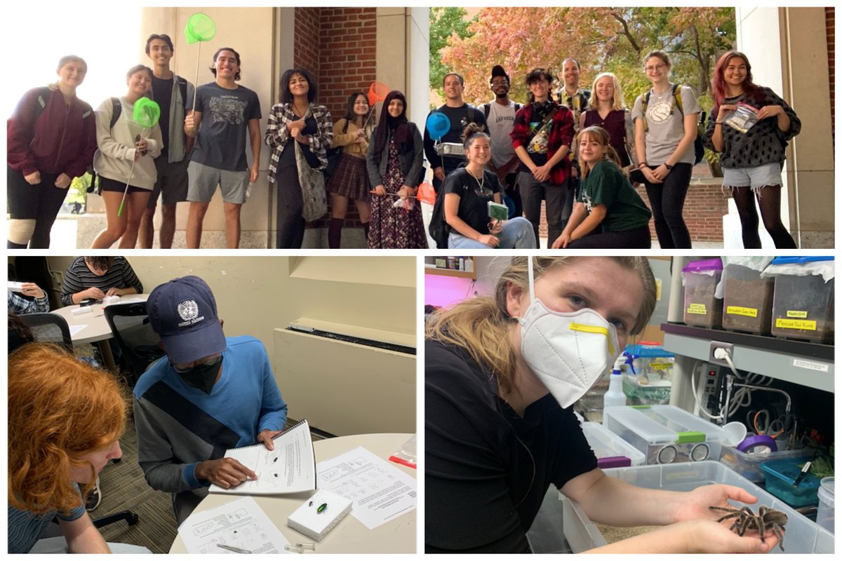 UMDEntomology's tweet photo. 🪲🤟#InsectTerp population is on the rise @UofMaryland. In Fall 22 a new club for insect-lovers formed on campus, Bug Club.✔️out how to get involved.
https://t.co/jG57UbYq2w https://t.co/HdRm3Yx3jV