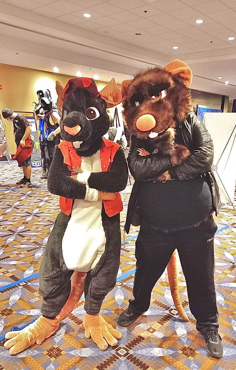 Thank you for the amazing art <a href="/DittmanRat/">Relocated Attic Television 🐀</a>! Support your local rat artists! #furryfandom 🐀