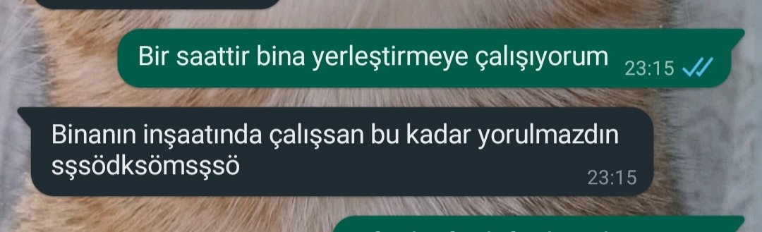 Ne yazık ki doğru arkadaşlar