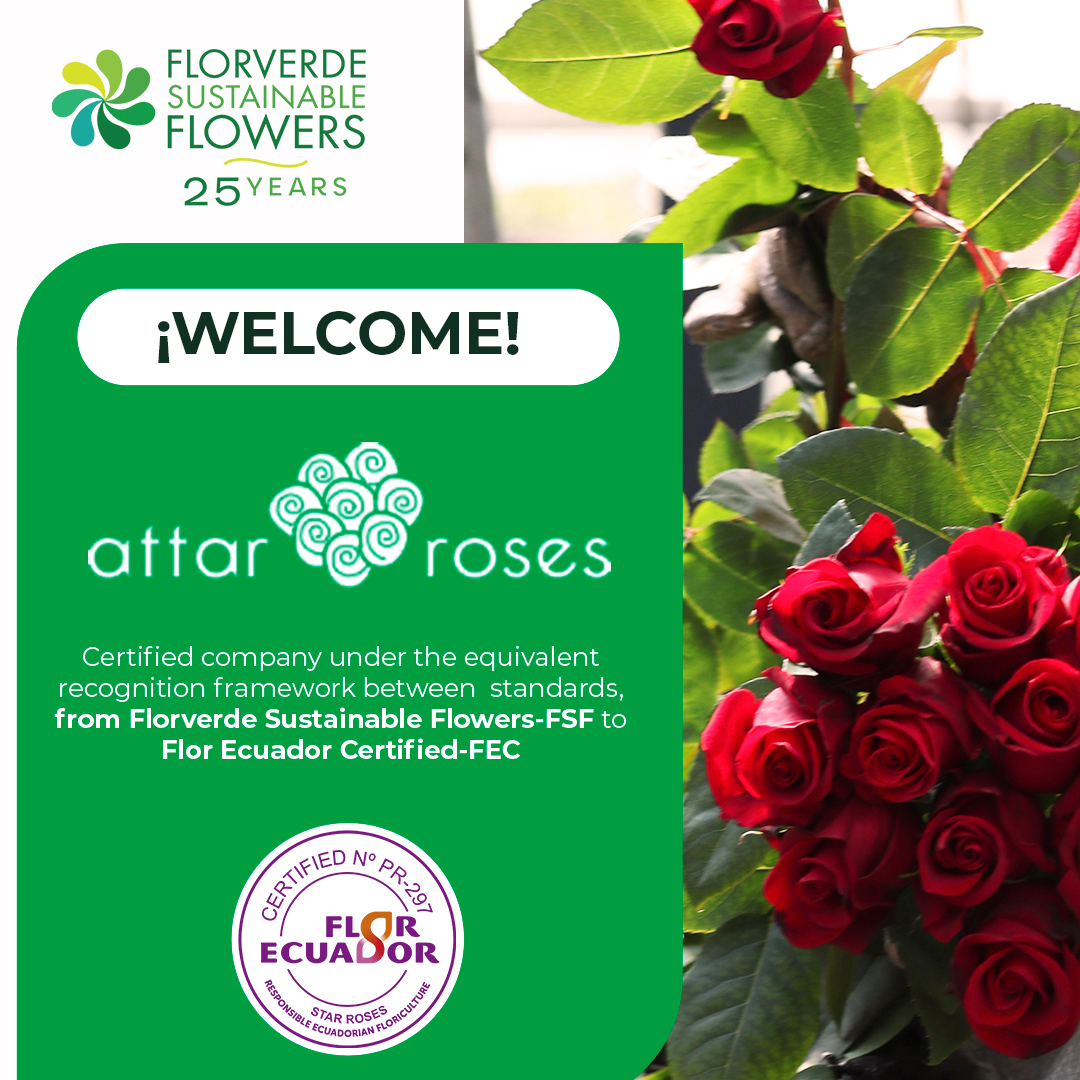 Florverde® tweet media