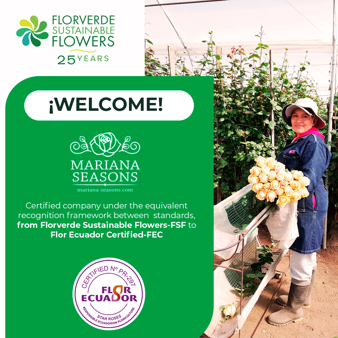 Florverde® tweet media