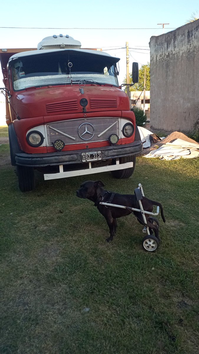 Cristian (@gabriel38619551) on Twitter photo 