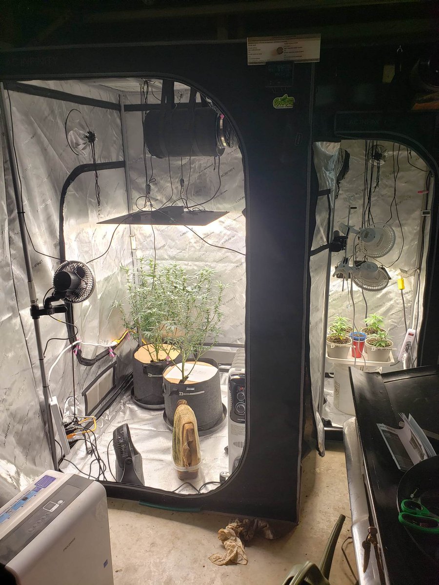 Pyedbryan's tweet image. My Zen island.