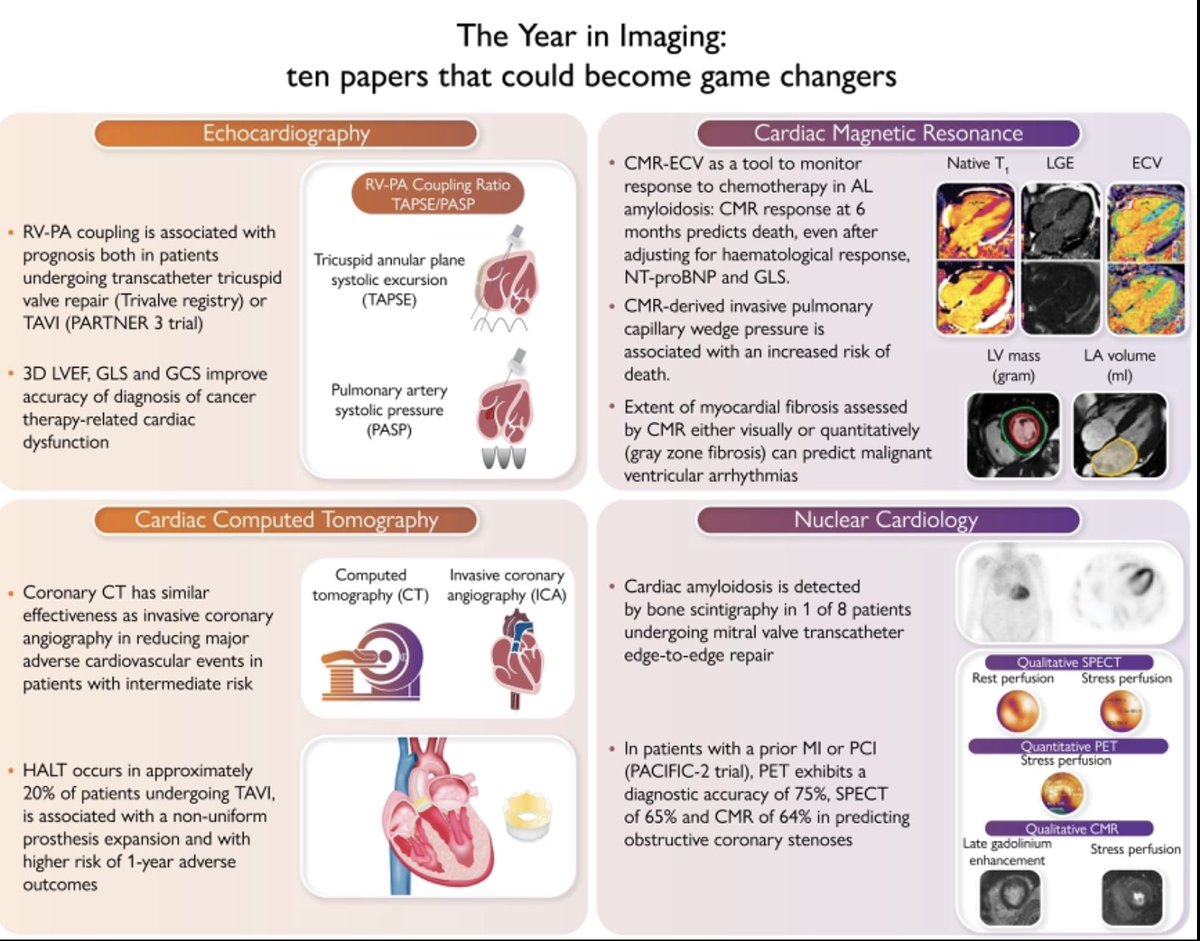 Los 10 trabajos más importantes de imagen cardiaca del año en el 2022.
doi.org/10.1093/eurhea…
Siempre es bueno una vista en perspectiva!