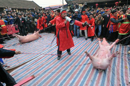 RobRobbEdwards's tweet image. Nem Thuong Pig-Slaughter Festival In Vietnam

The pigs are decapitated and bystanders dip money into the blood in hope of good luck for the year