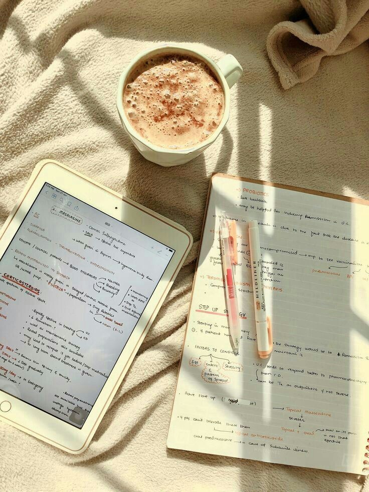 studybabi's tweet photo. °. ⩩ como ter DISCIPLINA ao longo do ano
[ #studytwbr #studytwt ]

a thread; https://t.co/usDliWQZ77