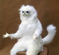 sivalabs's tweet image. Somehow my "My attempt to understand why people perceive Java as complex" article popped up on orange site reddit.com/r/java/comment…
When someone passionately saying Java is very verbose and Go is not, I am like this 😂