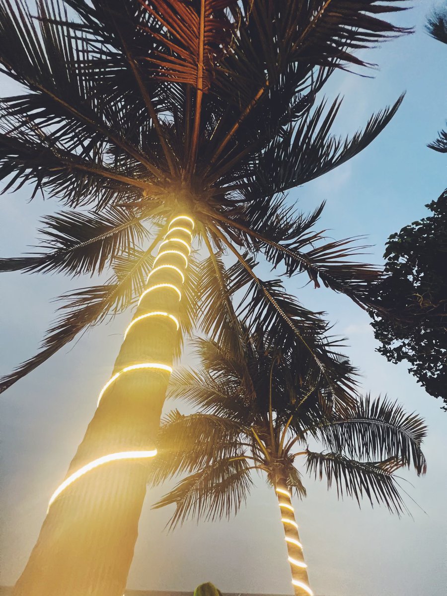 Missed out on our last Airdrop event? 

⚡️ 1,000,000 $PRDS randomly to 100 participants 🤩

Rules 👇 

1. Join t.me/briseparadisec…
2. Follow @Briseparadise 
3. Post your BRC20 address 👇
4. RT this tweet

Ends: 8 January 2023