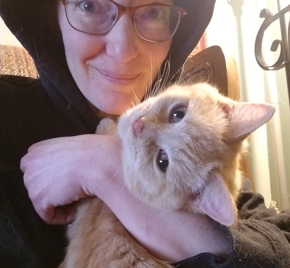 dragononmybelly's tweet photo. Oak says that it's silly to be normal. Do what makes you happy :~)
#oakveil #CatsOfTwitter #normalisoverrated https://t.co/RdV2S7y0OB