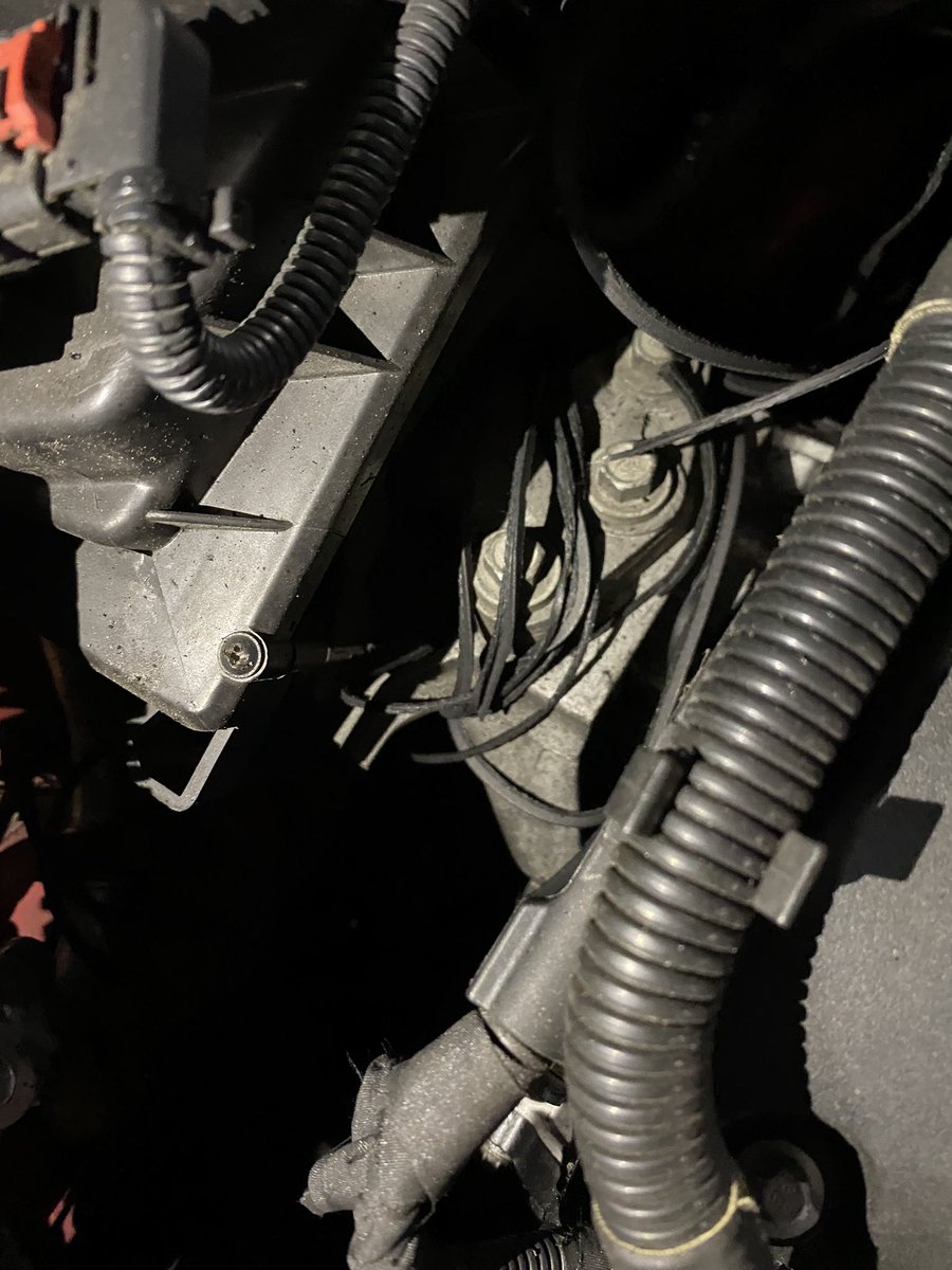 fiestamule's tweet photo. This is my serpentine belt. Itโs supposed to not be slashed #carthings https://t.co/jgkHCfLHuG