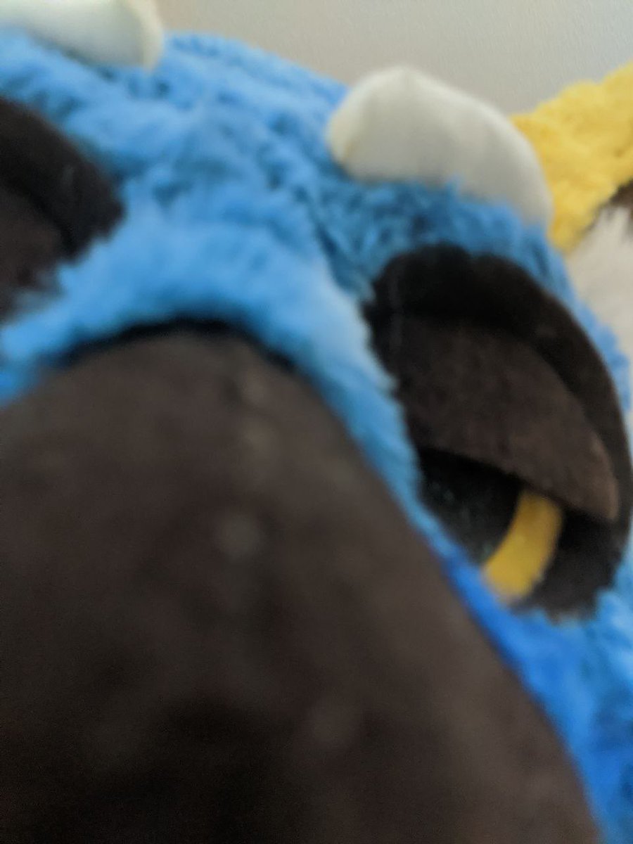 BlemonTheBirb's tweet photo. He knows what you are. https://t.co/slKSTlcV5f