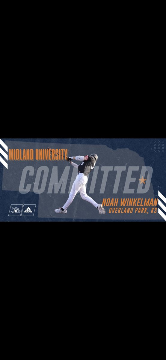 Noah Winkelman tweet media