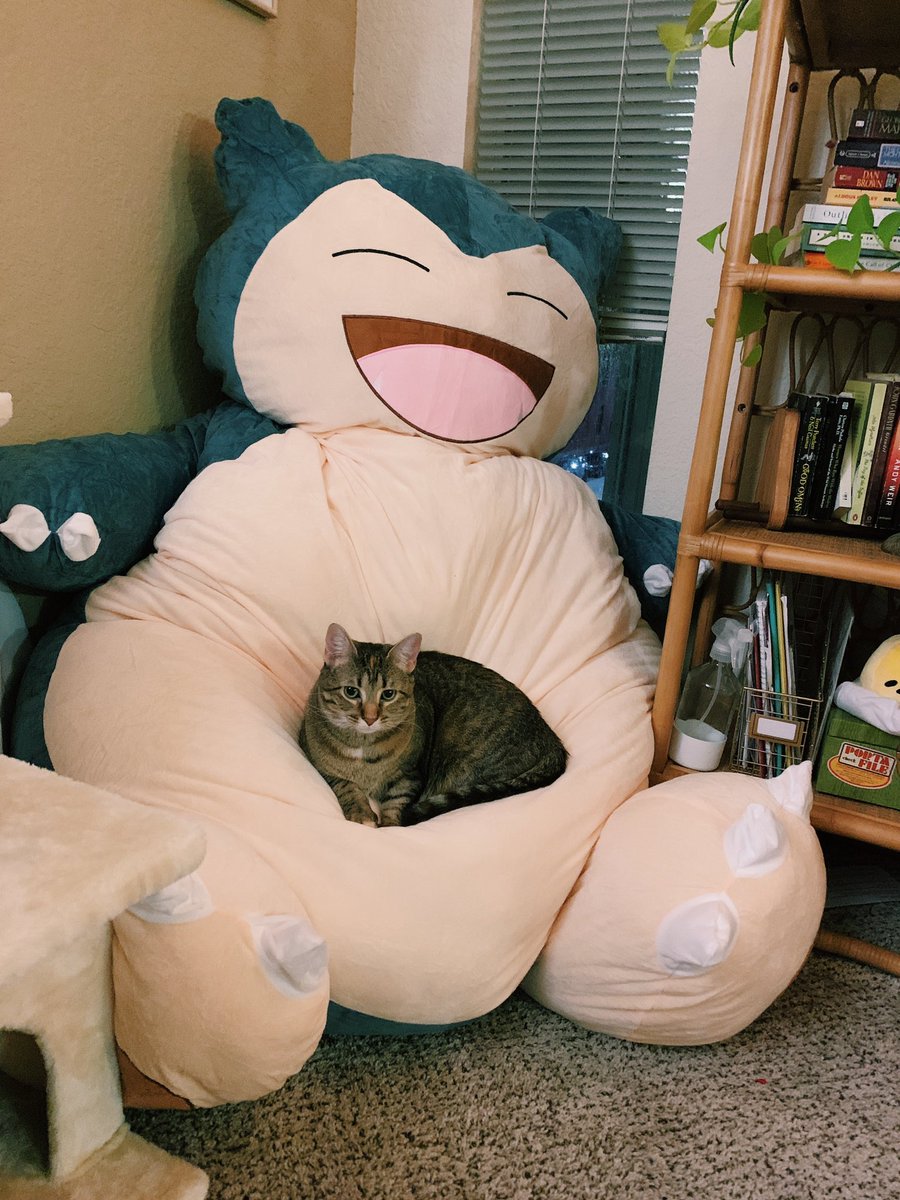 k8andersonttv's tweet photo. this is your sign to get a 78in snorlax plushie for your cat https://t.co/vIbEnQvYwk