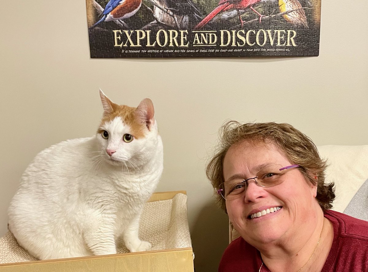 RappCatsAdopt's tweet photo. π₯³We have exciting Hoppy News!π₯³ Our very own Hoppy is now the official cat-in-charge at Wild Birds Unlimited in Culpeper, #Virginia! His new mom runs the store! A purrfect fit for this #love bug! #cat #cats #pets #GoodNews #PositiveVibes #noVA #luv #Tuesday #Wednesday #animals https://t.co/TdtG7BGkgc