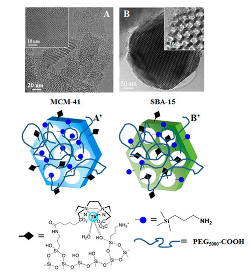 Magnetochem's tweet photo. ๐Hot paper recommendation
#Water Diffusion #Modulates the CEST Effect on Tb(III)-Mesoporous #Silica Probes: https://t.co/OSdAmefaKQ
#ChemicalExchangeSaturationTransfer; #ContrastAgents; #LanthanideComplexes; #MagneticResonanceImaging; #MesoporousSilicaNanoparticles https://t.co/C2WvZjHI4K